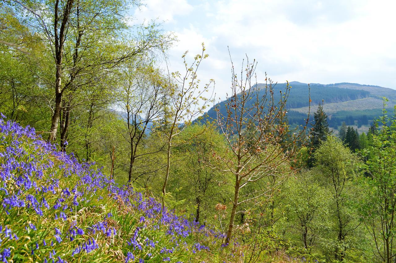 Glenbranter Cottage Strachur エクステリア 写真